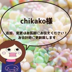 chikako様