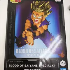 ドラゴンボールZ　BLOOD OF SAIYANS SPECIAL　孫悟飯