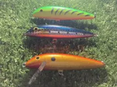 Item thumbnail for item 9c4ae133-6766-4ebb-87d4-f5c58584221e