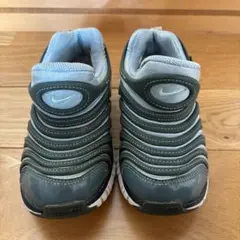 ダイナモフリー　17.0