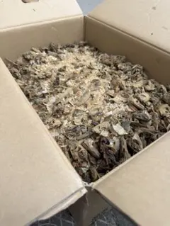 「無添加 魚粉1.2kg 鶏の餌 食いつき抜群 高タンパク」のサムネイル