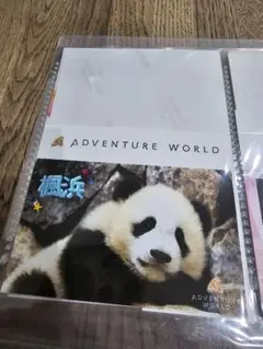 アドベンチャーワールド PANDA JOURNEY Vol.4タオル 愛浜 - メルカリ