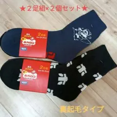 【2足組×２個セット】足元ぽかぽか履くホカロン 25-27cm裏起毛タイプ