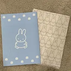 ミッフィー　婚姻届　クリアファイル　ゼクシィ　付録　サムシングブルー