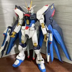 2026年最新】1/60 ストライクフリーダムガンダム ライトニング