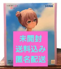 その着せ替え人形は恋をする 乾紗寿叶 XStellar フィギュア