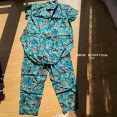 Item thumbnail for item 565ee257-1e9c-4c07-b14c-54112d3fb3dd