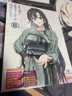 ④⑫ やはり俺の青春ラブコメはまちがっている　完 新 特典　小説　全巻 やはり俺の青春ラブコメはまちがっている。新 特典小説 俺ガイル