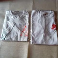 ホワイト メッシュ Tシャツ Mサイズ