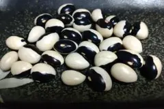 パンダ菜豆（別名:シャチ豆）　種15粒　 無農薬栽培