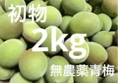 無農薬青梅 2kg はなちゃんママ様専用