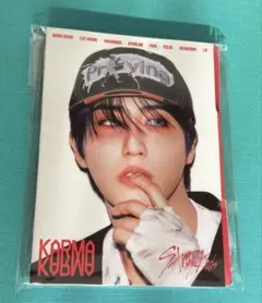 straykids スキズ ホットラ ハン トレカ han jisung Amazon.co.jp: ハンHAN stray kids ストレイキッズ スキズ