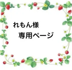 LOVOT ラボット 服 れもん様専用