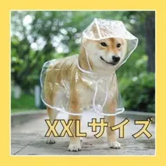 Item thumbnail for item 1c7e2afc-899b-4d18-accb-c1a1bf3663c6