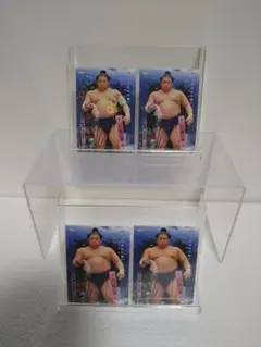 Item thumbnail for item da25a54d-34d1-4899-b683-8bb863109dce