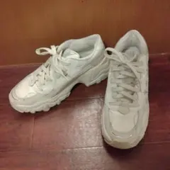 Item thumbnail for item ffd659f5-3cc4-4c3f-9465-e8c281e96110