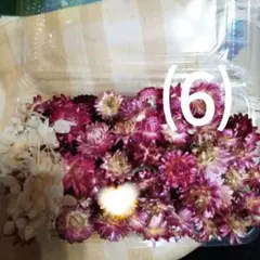 saori様 リクエスト 2点 まとめ商品