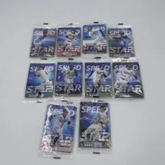 プロ野球 トレーディングカード 8枚入り×10セット