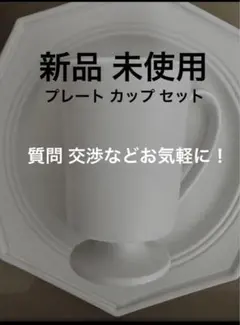 Heath Ceramics ヒースセラミックス サラダプレート 2枚組 白色 Heath