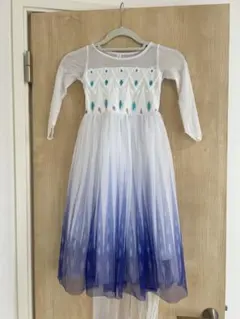 110サイズ アナと雪の女王 エルサドレス