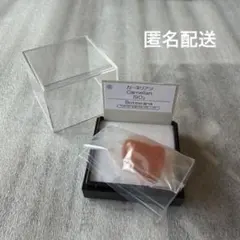 未使用 進研ゼミ 鉱物コレクション カーネリアン