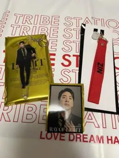 ZIN 陣 フォトプロップス カード 3点セット