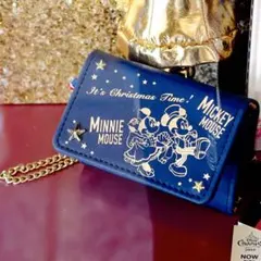 イッツ・クリスマスタイム！　パスケース　東京ディズニーシー2019年クリスマス