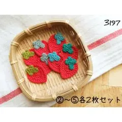 いろんないちごモチーフセット 赤 ハンドメイド ワンポイント かぎ針編み