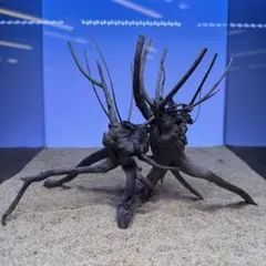 2026年最新】ブランチウッドの人気アイテム - メルカリ