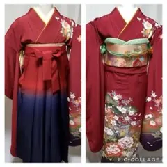 振袖　卒業式袴　袋帯　長襦袢　小物セット 18ー4②
