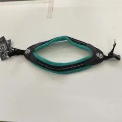 Item thumbnail for item 79484a24-3bfb-4acf-b256-3127170cd481