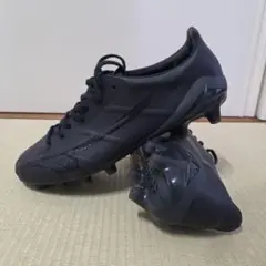 【25cm】ミズノアルファII JAPAN Ltd