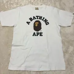 Item thumbnail for item f3e472b7-76df-4d92-83fd-4f69e07bb93b