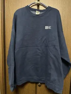 古着　Fruit of the Loom スウェット　ワンポイント　2XL