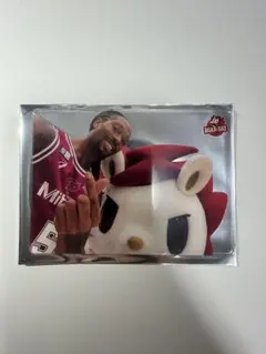 川崎ブレイブサンダース ロウルデー アクリルカード エマニュエル・テリー