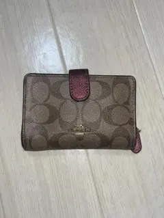 Item thumbnail for item 6d22b63a-3a72-4e31-88f1-ac178ce521a5