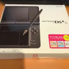 ニンテンドーDSILL ダークブラウン短時間動作確認済