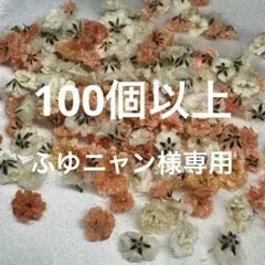 かすみ草 ドライフラワー ふゆニャン様お取り置き