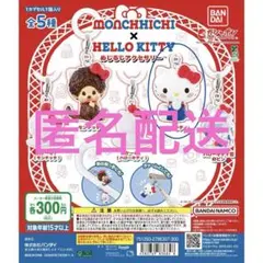モンチッチ × ハローキティコラボめじるしアクセサリー