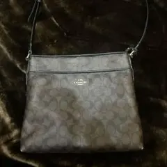 あ*様 【希少】COACH ショルダーバッグ swag yokoのサムネイル