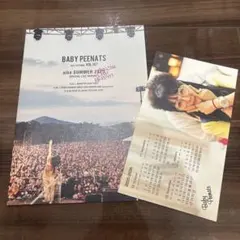 aiko会報 aiko ファンクラブ会報 baby peenats 創刊号から67号まで揃い、67冊
