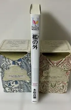 2025年最新】木原音瀬 箱の中 檻の外の人気アイテム - メルカリ