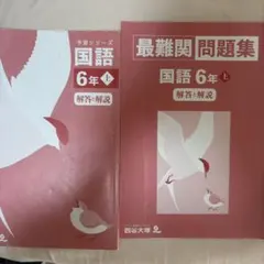 6年　国語　予習シリーズ　解答　2点