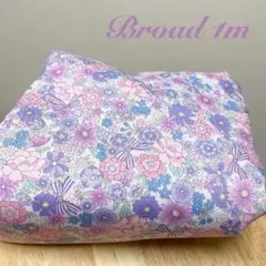 Item thumbnail for item e19f683f-4867-4557-bd0d-3c80c8827a5f