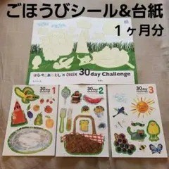 【非売品】はらぺこあおむし　チャレンジシール　ごほうびシール　できたねシール