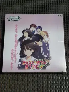 初版 1BOX 電撃文庫 ヴァイスシュヴァルツ 未開封 Amazon.co.jp: 【1カートン】 ヴァイスシュヴァルツ ブースターパック