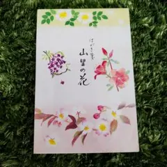 マミー様 リクエスト 4点 まとめ商品