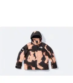 supreme The North Face サイズs
