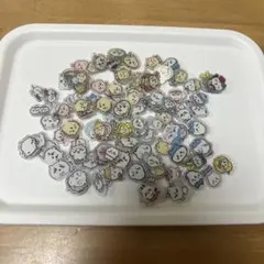 Item thumbnail for item 74457755-848e-4c38-88d8-d909ff51c71d