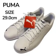 【新品未使用】PUMA プーマ スマッシュキャット メンズ スニーカー 29cm